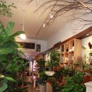 메리제이플라워카페