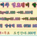 여주-0726 Daum카페