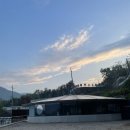 빌라누트 이미지