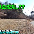 비석농장 이미지