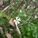 진범목장 이미지