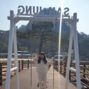 포천종합운동장 | 포천 캠프다온 캠핑장 후기｜예약만 된다면 꼭 가보세요! 아이들과 다녀온 3번 방문 후기