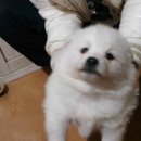 간지난다 이미지