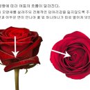 풍경화그리기 이미지