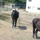 새둥지마을 이미지