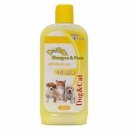 도기프렌즈 이미지