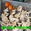 윈풀