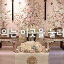 포쉬파티 네이버블로그