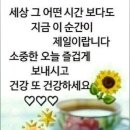 말의 온도 이미지