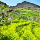 금산-22 이미지