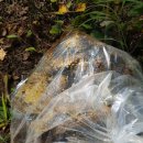 대박터진날 이미지