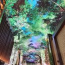 삼송동 준프라자 부근 안쪽 길 | [인천 영종도] 인스파이어 리조트, 파라다이스시티 - 뚜벅이의 당일치기 호텔 구경