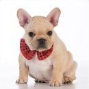 신천동물병원 이미지