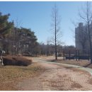 마전게이트볼장 이미지