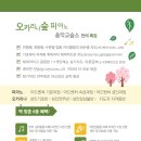 피아노숲피아노교습소 이미지