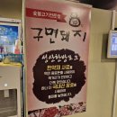 구면돼지 이미지