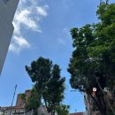 서미모밀촌 | 도원역 맛집 서미모밀촌 송림동 점심 메뉴 추천해요