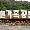 설 연휴에도 인천가족공원은 '잠시 멈춤'하고 성묘는 온라인으로! 이미지