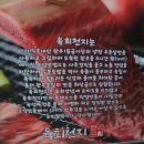 육회천지보정점 이미지
