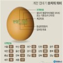 계란 껍데기 숫자의 의미 이미지