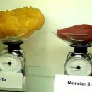 더바른몸PT 이미지