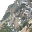 선구목장 이미지