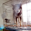 삼숭로 이미지