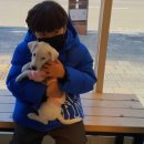 미주목장 이미지