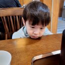1430 | [후기]밀양 아이랑 부모님이랑 가볼만한 곳, 돈까스 맛집추천, 아리랑식당 내 영남돈