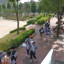 자연관찰 탐구활동 이미지