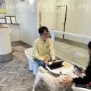 하이반려동물행동클리닉 이미지
