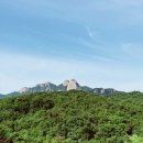산노루 이미지