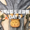3일차) 3박4일 도쿄여행 긴자모닝카페/사토요스케/키치죠지 소품샵/도쿄타워 포토스팟/야끼니꾸
