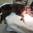 인주면 현대로1029번길 이미지