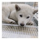 금척상리 이미지