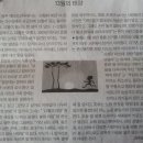 13월의 태양 이미지