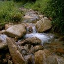 귀선농장 이미지