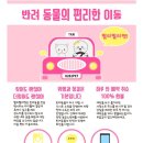 빨리펫 네이버블로그