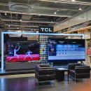 잠실 롯데하이마트 올림픽 공식 파트너 TCL QD 미니LED TV 직접 보고 왔어요