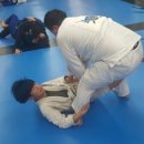 팀타이런트 유도 이미지