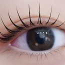 뷰티하라 이미지