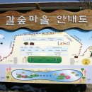 갈숲마을 이미지