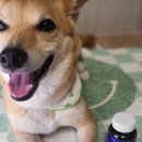 초록메디 이미지