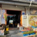 명성로158번길 이미지