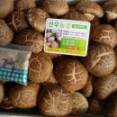 선우농장3 이미지