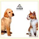 수원-0797 네이버블로그