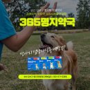 365명지약국 이미지