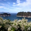 전망대
