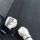 The 복싱클럽 | 치앙마이 여행 올드타운 무에타이 원데이 클래스 수업 Sting Club Muay Thai 체험 후기 가격 예약방법