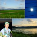 우포늪단감펜션 이미지